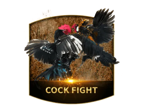 Cock Fighting
